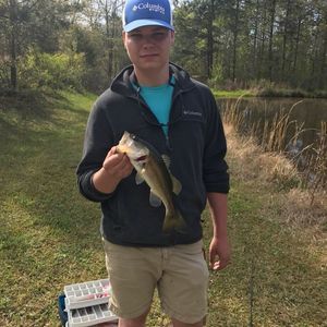 Meet your Posher, Tyler